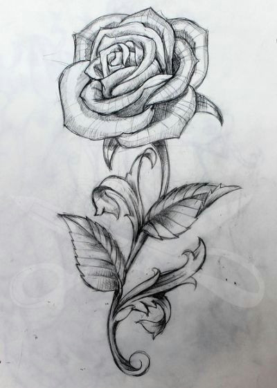 Drawings Of Realistic Roses Gallery for Rose Stem Drawing Flower Outline Tattoo Pinterest