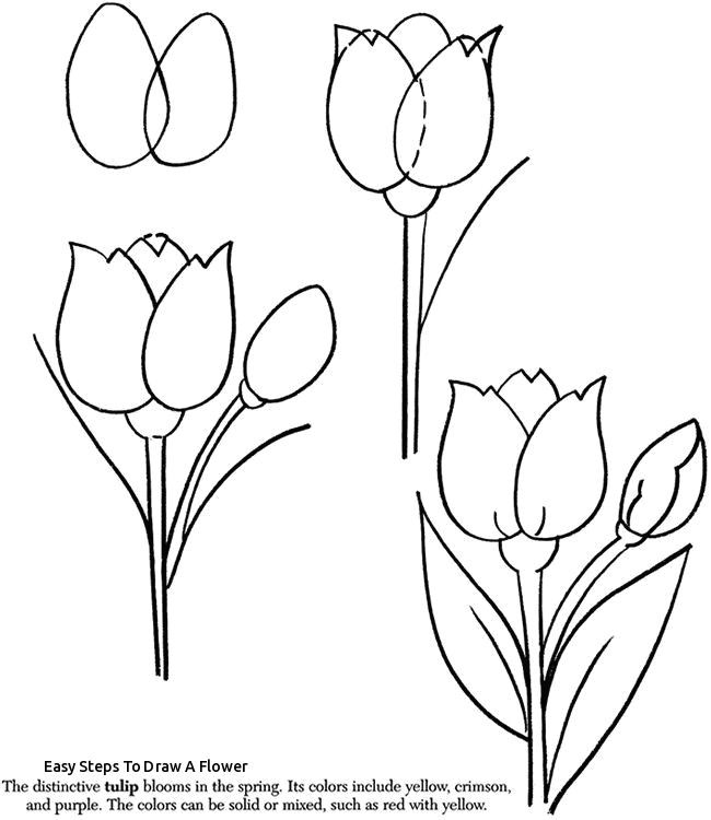 Drawings Of Red Flowers Easy Steps to Draw A Flower Vase Art Drawings How to Draw A Vase