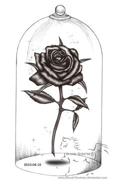 Drawings Of Rose Thorns Beauty and the Beast Drawings Beauty and the Beast Rose by