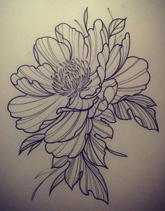 Drawings Of Roses and Banners 80 Best Heart Banner Images Awesome Tattoos Painting Drawing