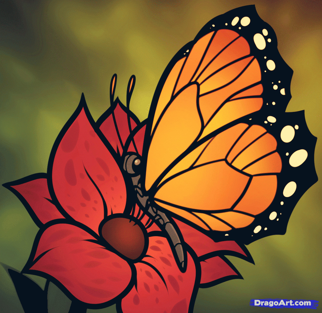 Drawings Of Roses and butterflies How to Draw A butterfly On A Flower butterfly and Flower Step by