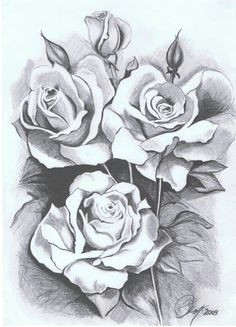 Drawings Of Roses and Crosses Step by Step Beautiful Sketches Of Flowers Beautiful Rose Flower Bouquet