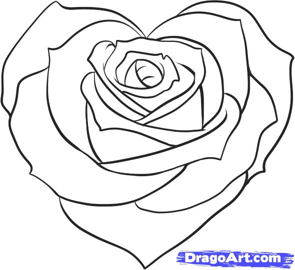 Drawings Of Roses and Hearts with the Steps Heart Drawings Dr Odd