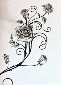 Drawings Of Roses and Vines 56 Best Rose and Vines Tattoos Images Tatoos I Tattoo Cool Tattoos