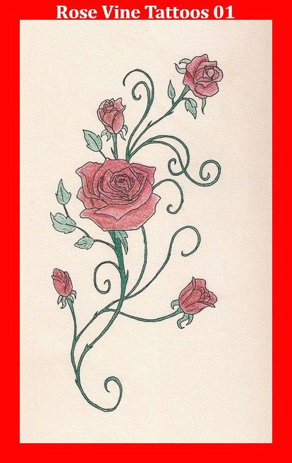 Drawings Of Roses and Vines Rose Vine Tattoos 01 New Tattoo Pinterest Vine Tattoos Rose