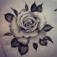 Drawings Of Roses Black and White 41 Best Black and White Roses Images Pencil Drawings Paintings
