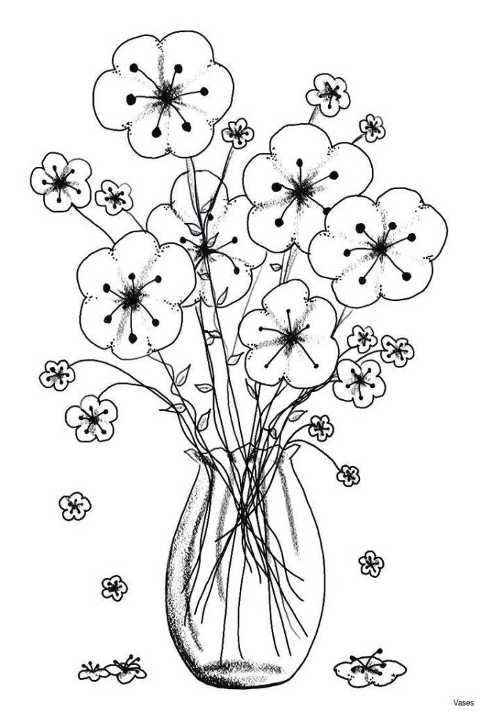 Drawings Of Roses In Black and White New Black and White Rose Coloring Pages C Trade Me