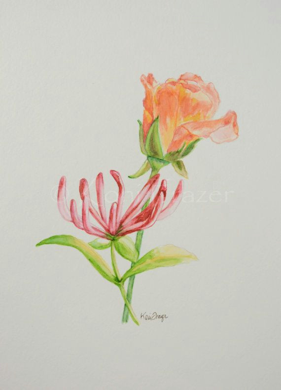 Drawings Of Roses On Fire Rose and Honeysuckle June Birthday Flower original Watercolor