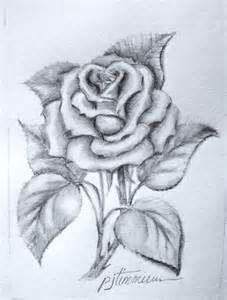 Drawings Of Roses Simple 61 Best Art Pencil Drawings Of Flowers Images Pencil Drawings