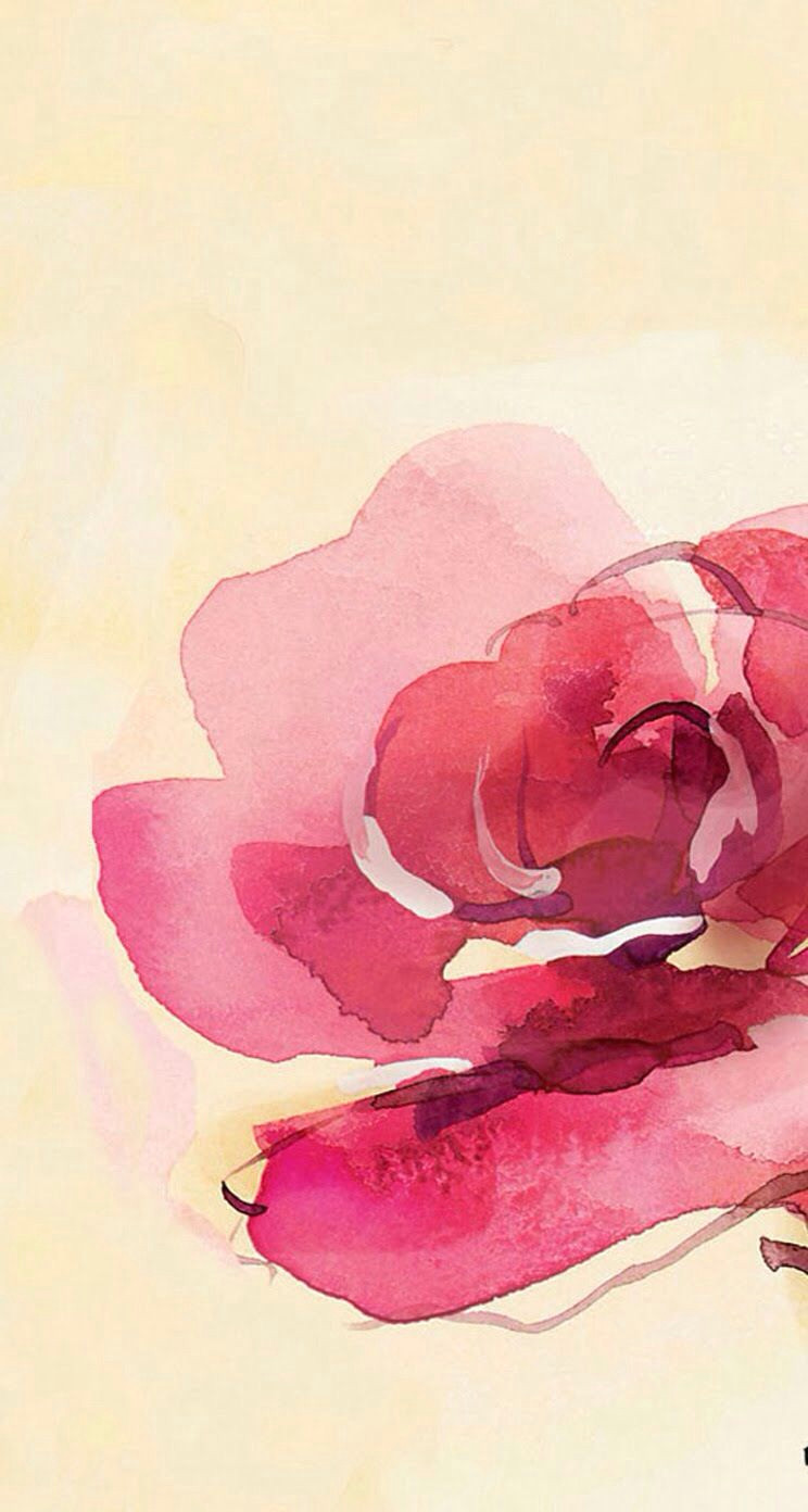 Drawings Of Roses Wallpapers iPhone 5 Wallpapers Watercolor Wallpapers Watercolor