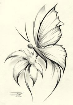 Drawings Of Roses with butterflies butterfly Pencil Drawing if It Were A Dragonfly It Would Be Perfect