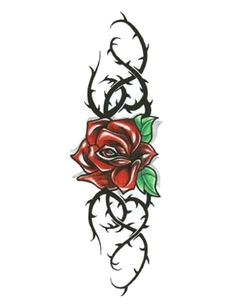 Drawings Of Roses with Thorns Tattoos Of Roses with Thorns Rose and Thorn Tattoos Cool Tattoos
