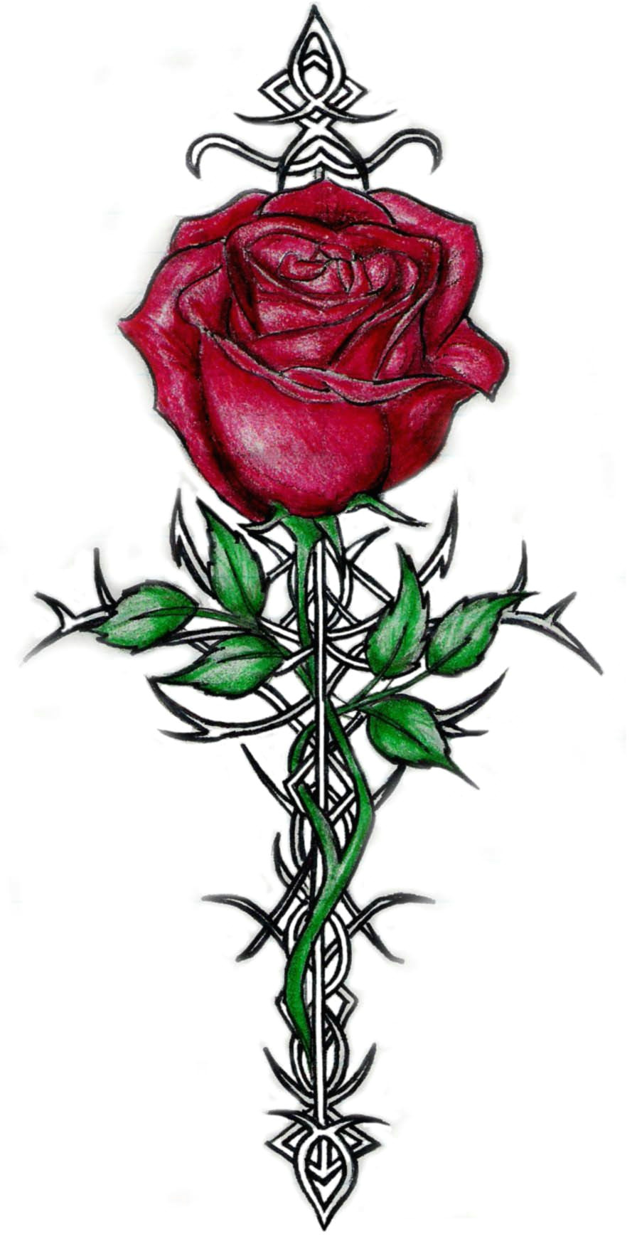 Drawings Of Roses with Thorns Tattoos Of Roses with Thorns Rose and Thorn Tattoos Cool Tattoos