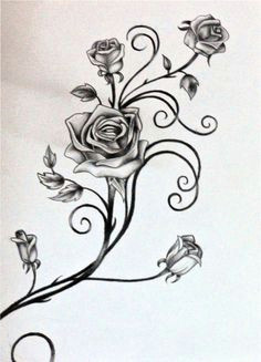 Drawings Of Roses with Vines 56 Best Rose and Vines Tattoos Images Tatoos I Tattoo Cool Tattoos