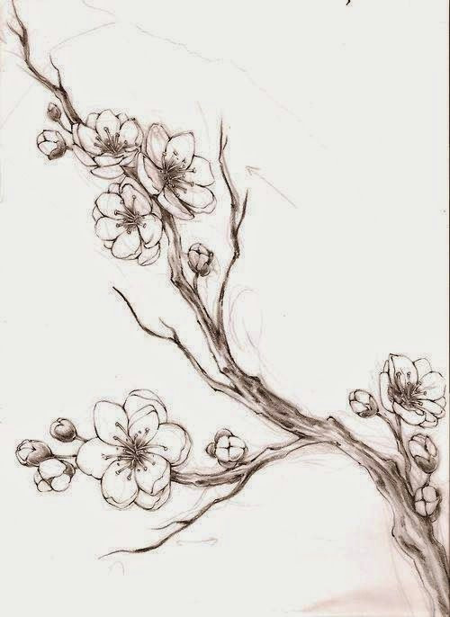 Drawings Of Sakura Flowers 100 Tatuajes De La Flor Del Cerezo O Sakura Dibujos 3 Pinterest