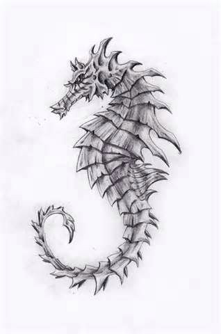 Drawings Of Sea Dragons Pin by Cheryl Richert On 31 Seahorse Art Seahorse Drawing Drawings