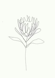 Drawings Of Single Flowers 2339 Best Arty Fartsy Images In 2019 Art Inspo Drawings