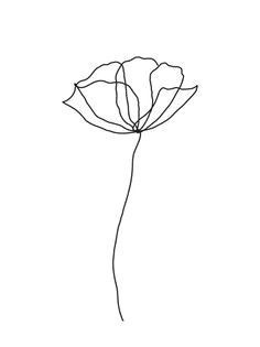 Drawings Of Single Flowers 368 Best Flower Line Drawings Images Lotus Tattoo Tattoo