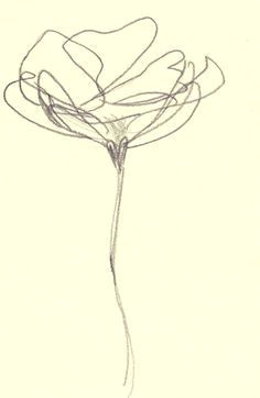 Drawings Of Single Roses 28 Best Line Drawings Of Flowers Images Flower Designs Drawing