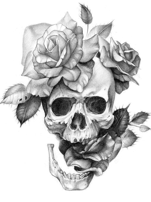 Drawings Of Skulls and Roses and Snakes Skull and Flowers Let them Grow Skull Flower Tattoo