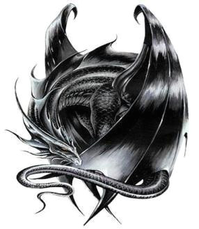 Drawings Of Sleeping Dragons Sleeping Black Dragon Recreation Lifestyle Pinterest Dragon