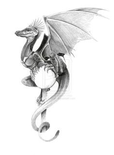 Drawings Of Small Dragons 572 Best Dragons Black White Images Train Your Dragon Dragons