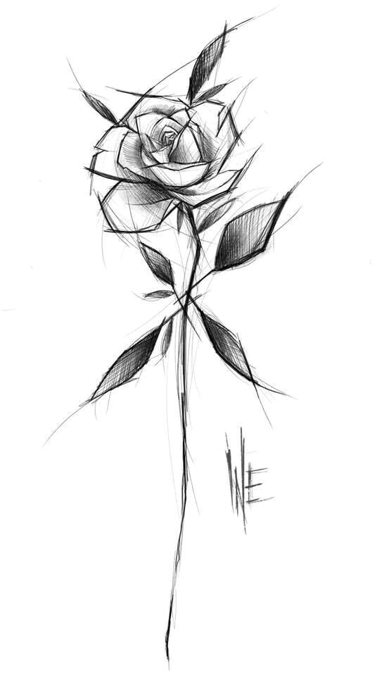 Drawings Of Small Roses Pin by Terri Rose On Art Tattoos Tattoo Designs Tattoo Sketches