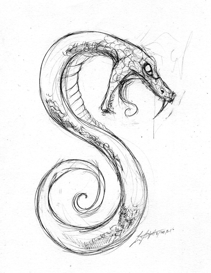 Drawings Of Snake Eyes Resultado De Imagen Para Drawing Snake Pinterest A Izim