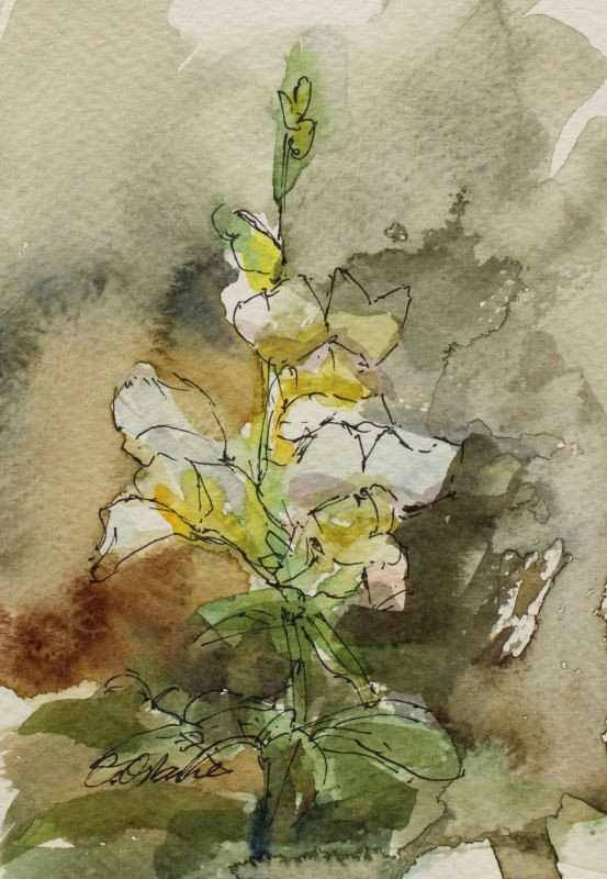 Drawings Of Snapdragons Art Card Watercolour Postcard Flower Painting 6x4in Impression