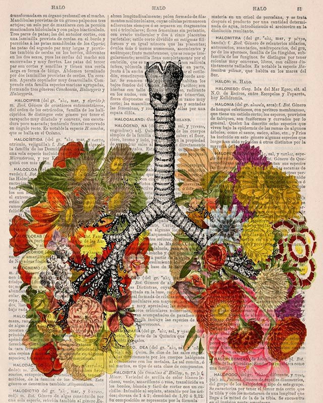 Drawings Of Summer Flowers Demilked Design Milking Magazine Art Illustrative Pinterest