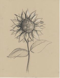 Drawings Of Sunflowers 84 Best Sunflower Drawing Images In 2019 How to Paint Sunflowers