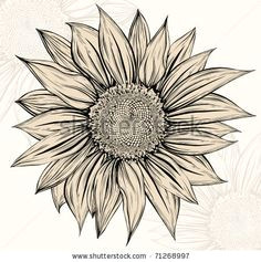 Drawings Of Sunflowers 84 Best Sunflower Drawing Images In 2019 How to Paint Sunflowers