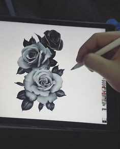 Drawings Of Three Roses 41 Best Black and White Roses Images Pencil Drawings Paintings