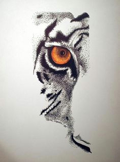 Drawings Of Tiger Eyes 10 Best Tiger Eye S Images Tiger Drawing Eyes Drawings Of Tigers