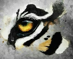 Drawings Of Tiger Eyes 10 Best Tiger Eye S Images Tiger Drawing Eyes Drawings Of Tigers