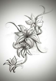 Drawings Of Tiger Lilies Flowers Pin by Michelle Minor Crupe On Hibiscus Tattoos Lily Tattoo