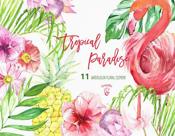 Drawings Of Tropical Flowers Tropical Clip Art Tropical Floral Clipart Flamingo Clipart Summer