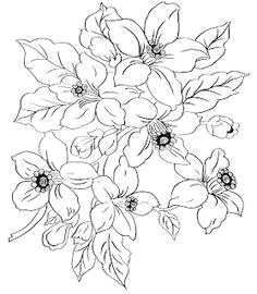 Drawings Of Two Flowers 215 Best Flower Sketch Images Images Flower Designs Drawing S