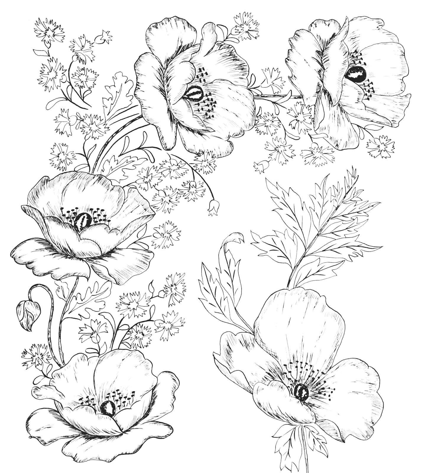 Drawings Of Two Flowers Digital Two for Tuesday Beautiful Flower Designs for Embroidery or