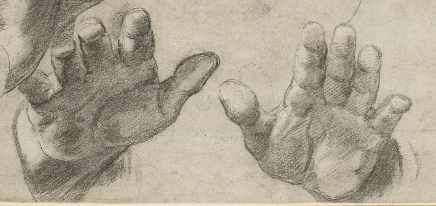Drawings Of Two Hands touching Studies Of Two Apostles ashmolean Museum
