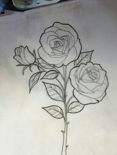 Drawings Of Two Roses 29 Best Rose Drawings Images 3 Roses Tattoo Rose Drawings Tattoo