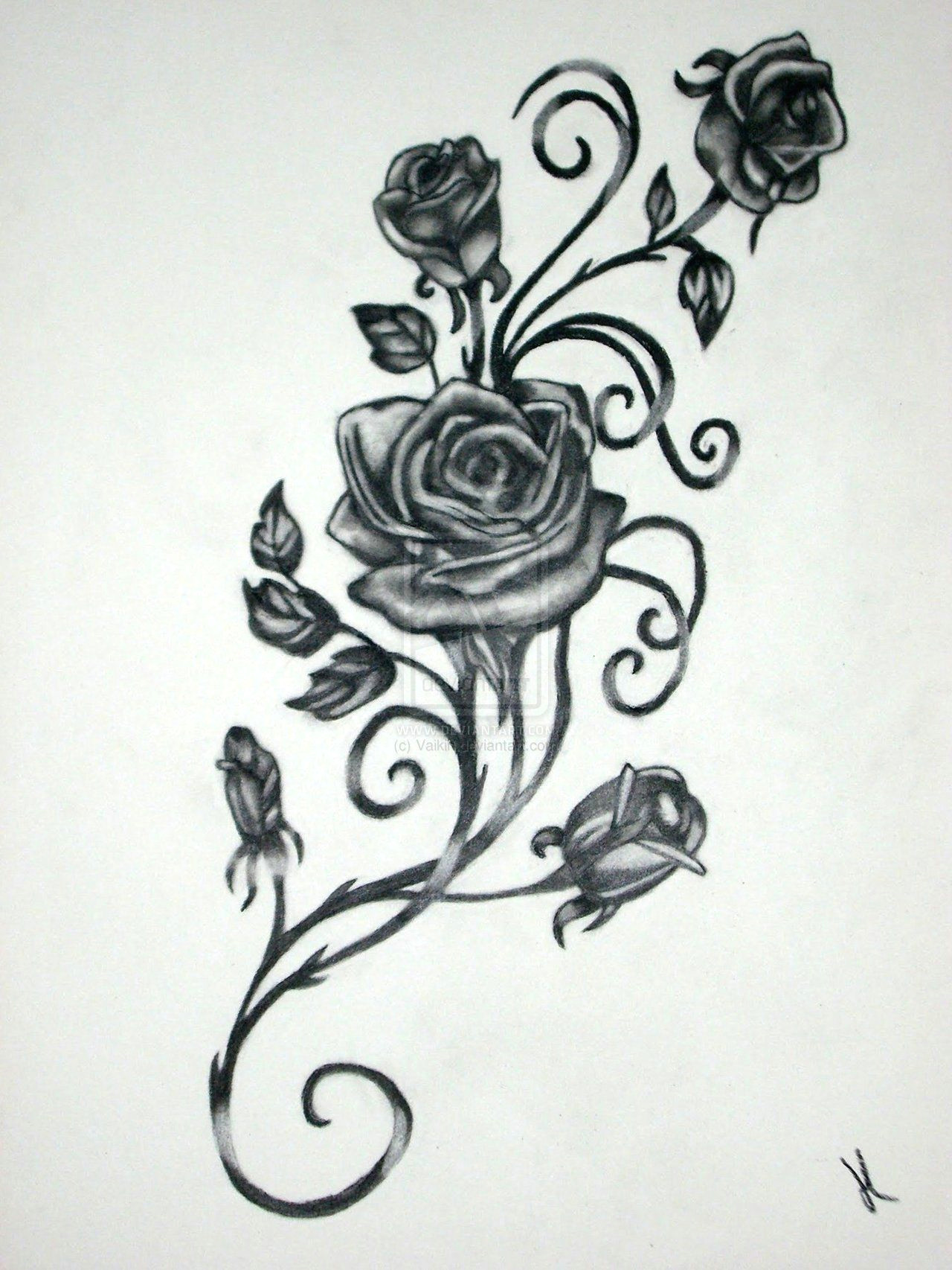 Drawings Of Vine Flowers Roses with Vines Drawing Rose Vine Drawing Black Rose Vine Tattoos