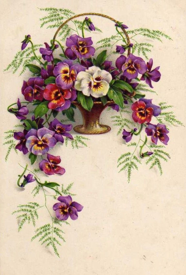 Drawings Of Vintage Flowers Vintage Card Drawings and Graphics Blumen Blumen Bilder
