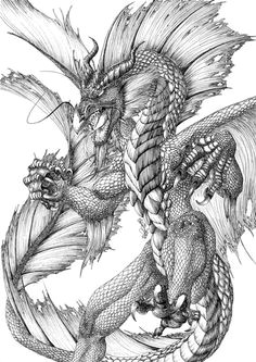 Drawings Of Water Dragons 968 Best Dragon Drawings Images Mandalas Coloring Books