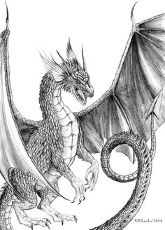 Drawings Of Welsh Dragons 216 Best Dragons for Carving Images Pencil Drawings Dragon Sketch