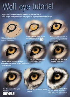 Drawings Of Wolf Eyes 109 Best Wolf Images Wolf Drawings Art Drawings Draw Animals