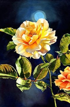 Drawings Of Yellow Roses 187 Best Paintings Roses Images Painting Drawing Watercolor