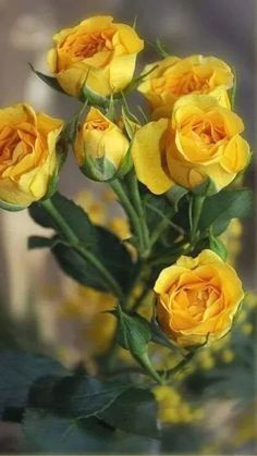 Drawings Of Yellow Roses 534 Best Yellow Images In 2019 Painting Drawing Artworks Drawings