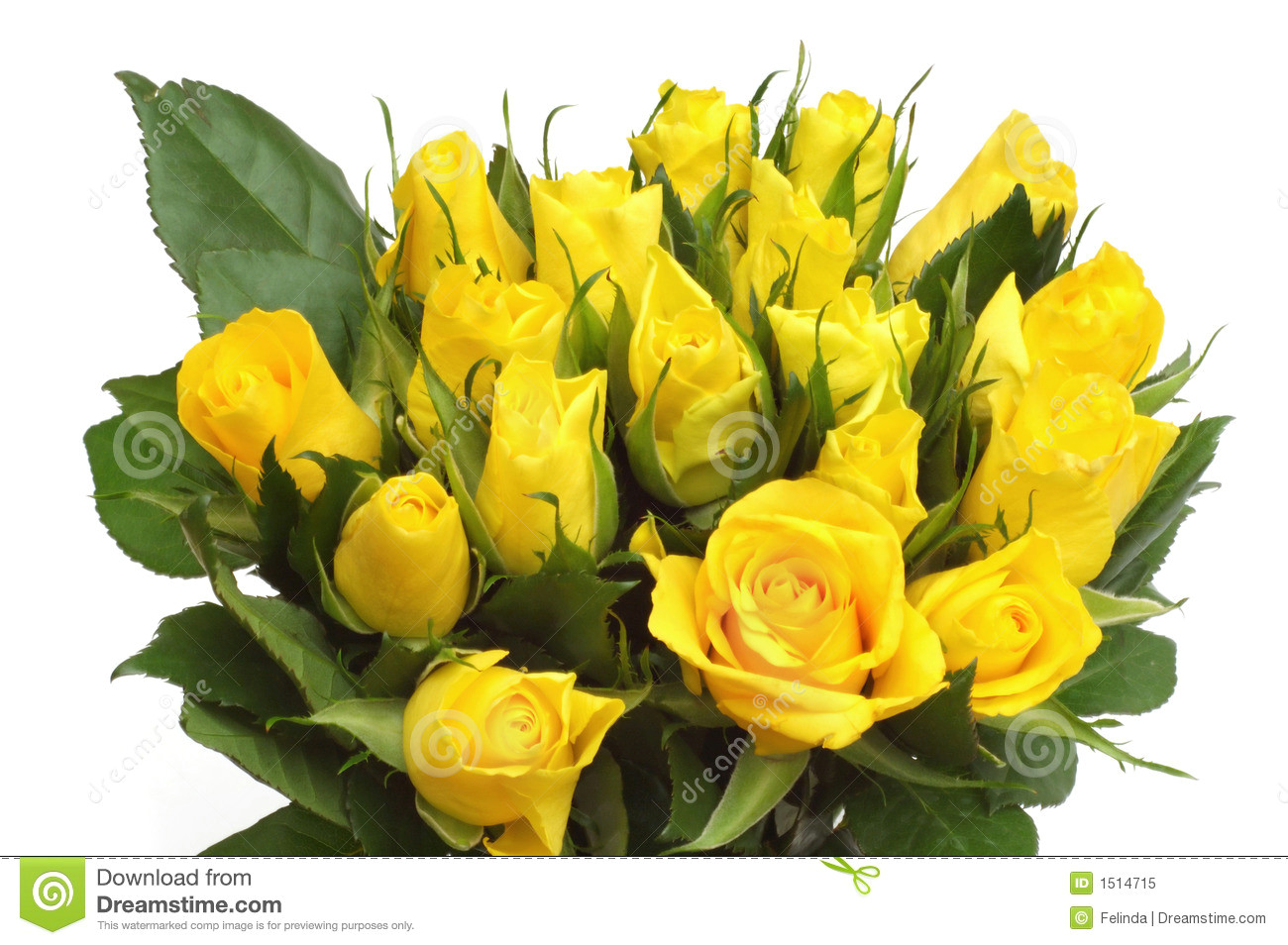 Drawings Of Yellow Roses Yellow Roses Bouquet Stock Image Image Of Delicate Greeting 1514715