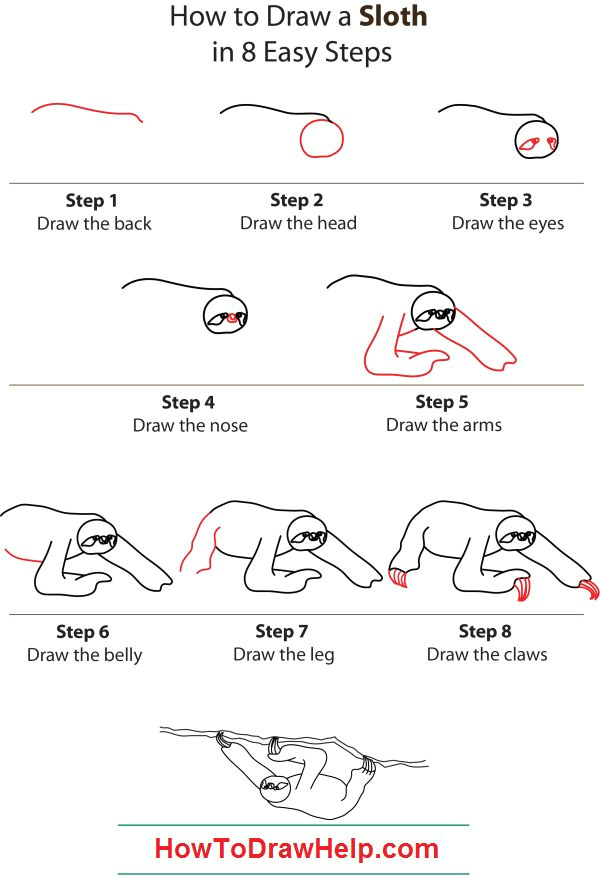 Easy 5 Drawing Time How to Draw A Sloth Step by Step Kids Drawings Sloth Sloth Drawing